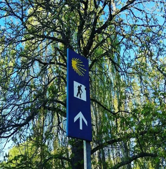 An image of a sign pointing the way towards the Camino Frances route