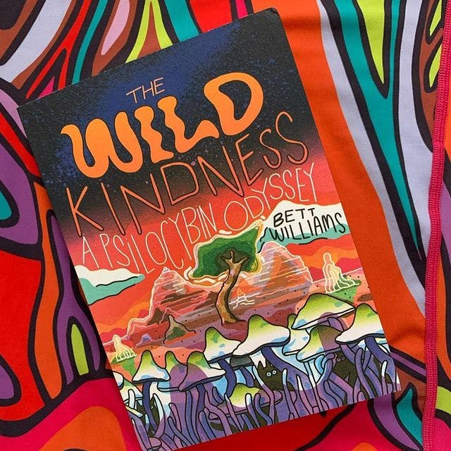 The Wild Kindness by Bett Williams